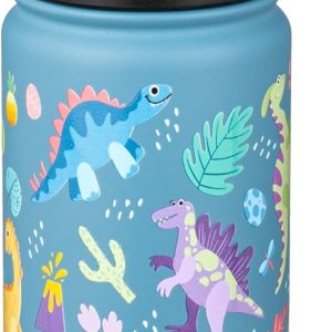Fanhaw 18 Oz Kids Insulated Water Bottle with Straw - Stainless Steel Double Wall Vacuum Cup. Leakproof. BPA Free. Suitable for Boys and Girls(Cyan - Dinasours World) : Sports & Outdoors